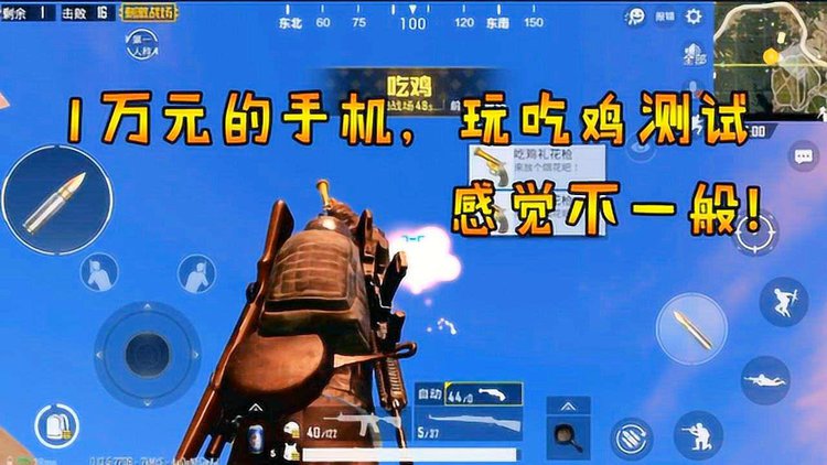 用手机可以玩吃鸡的游戏_鸡玩手机图片_鸡会用手机吗