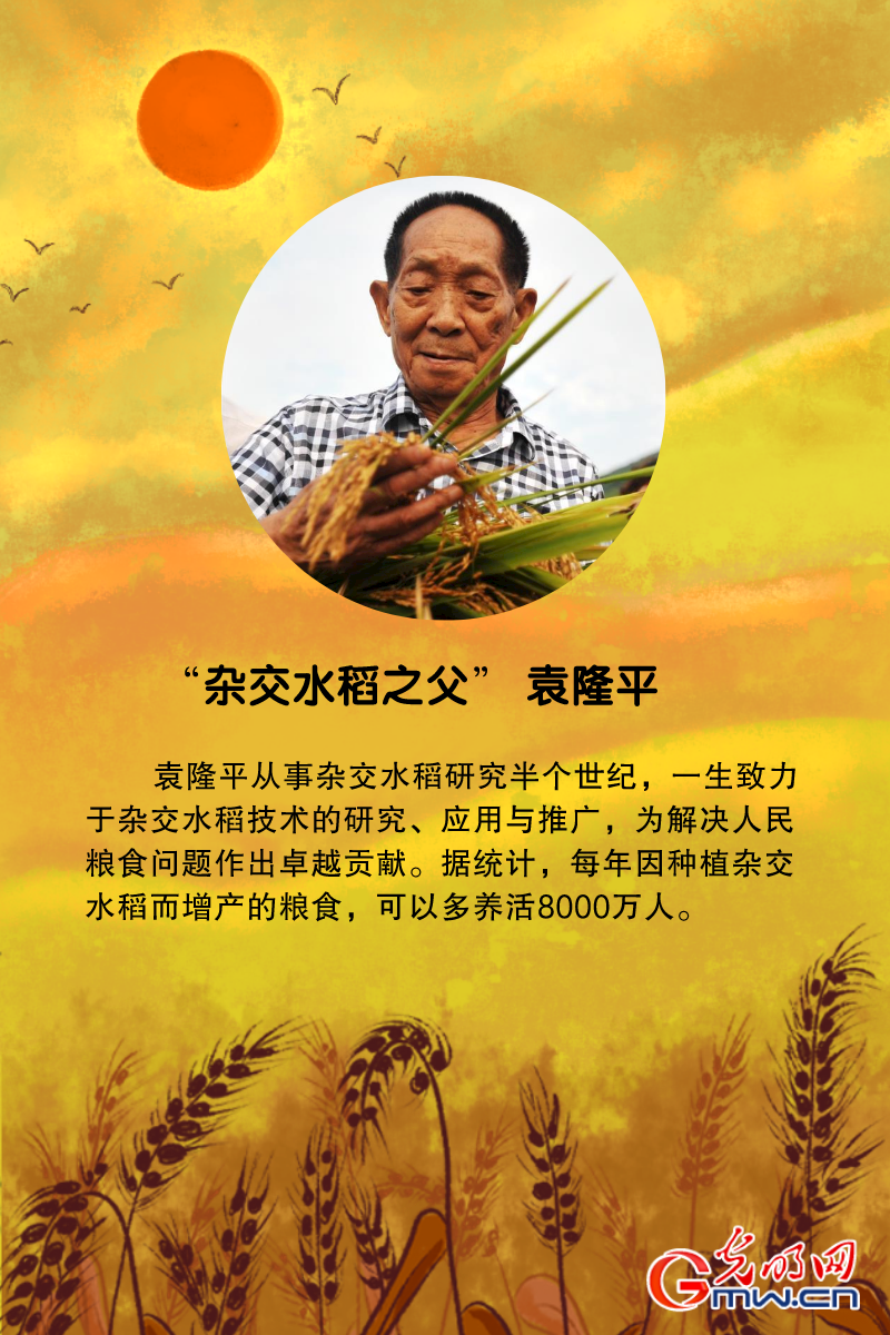 养家人动画片_养家之人_养家人动画片在线观看