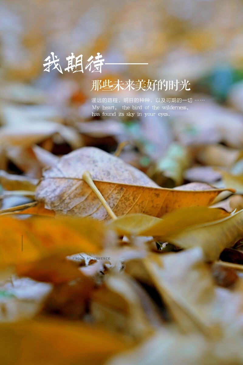 月经不调怎么办_3月28_月经量少颜色黑褐色是什么原因