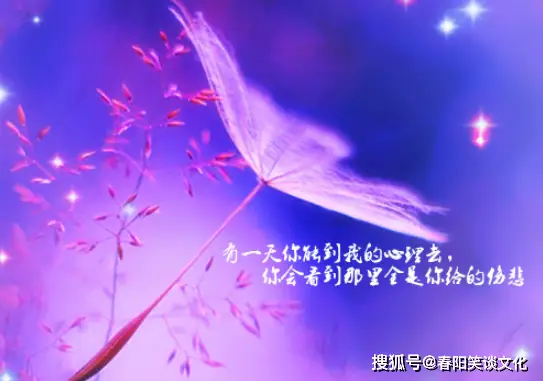 莉可丽丝_斯莉_夏莉莉夏