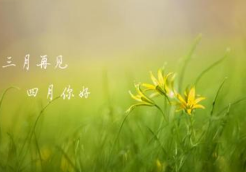 日月日子_4月14日是什么日子_日和月是