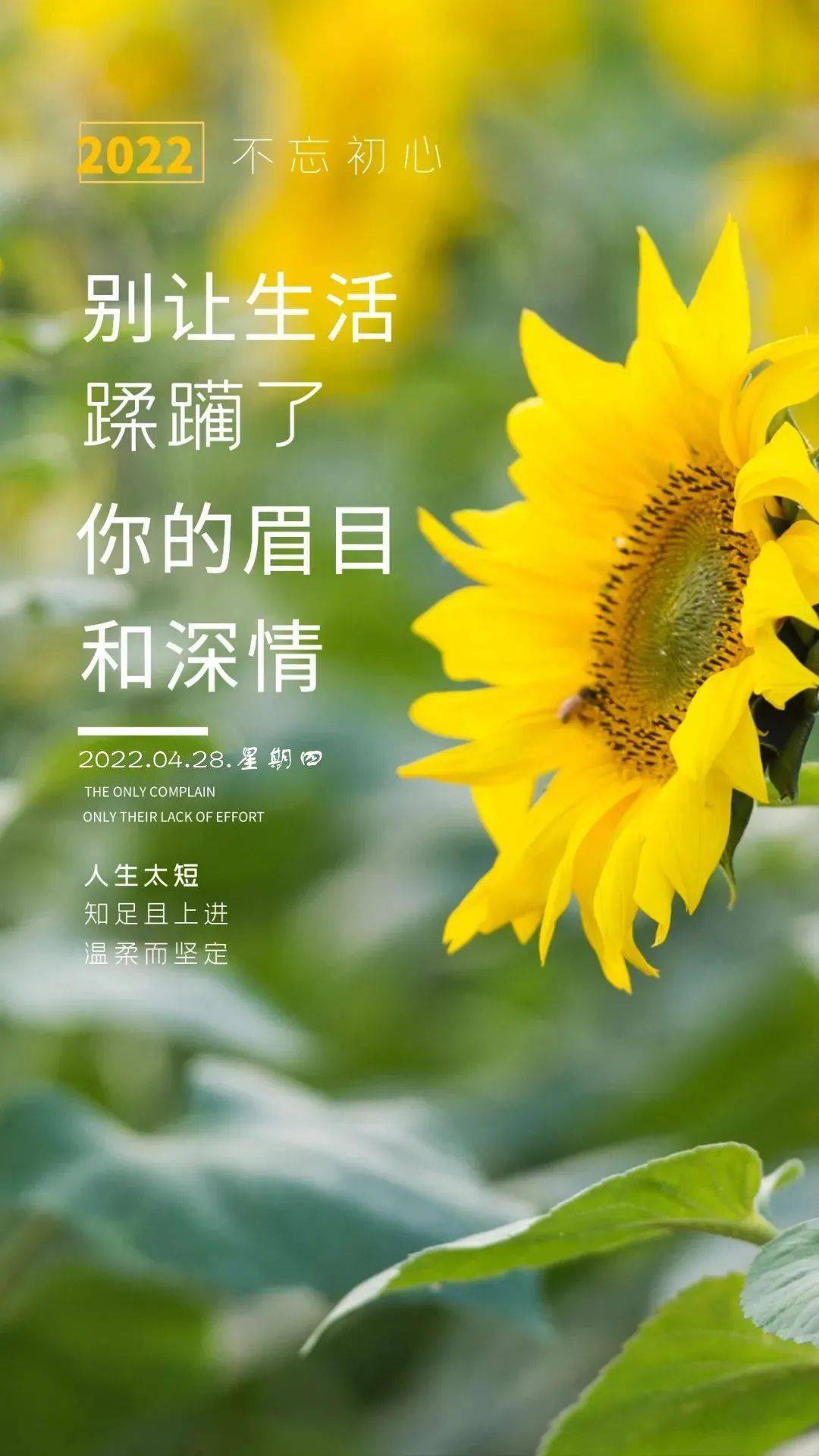 日月日子_日和月是_4月14日是什么日子