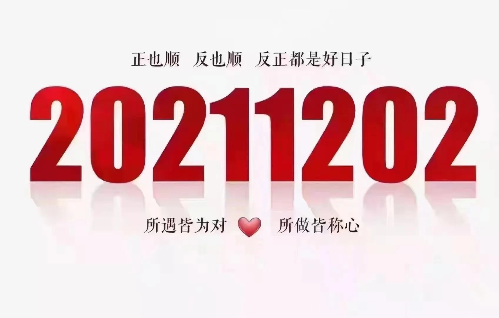 天亮了游戏_天亮手机游戏怎么玩_天亮手机游戏