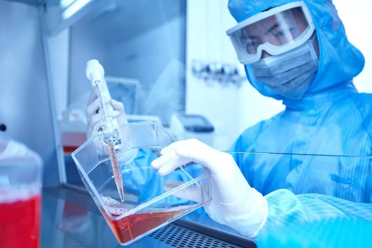 调节t细胞-了解 T 细胞：身体内的超级英雄，守护健康的小战