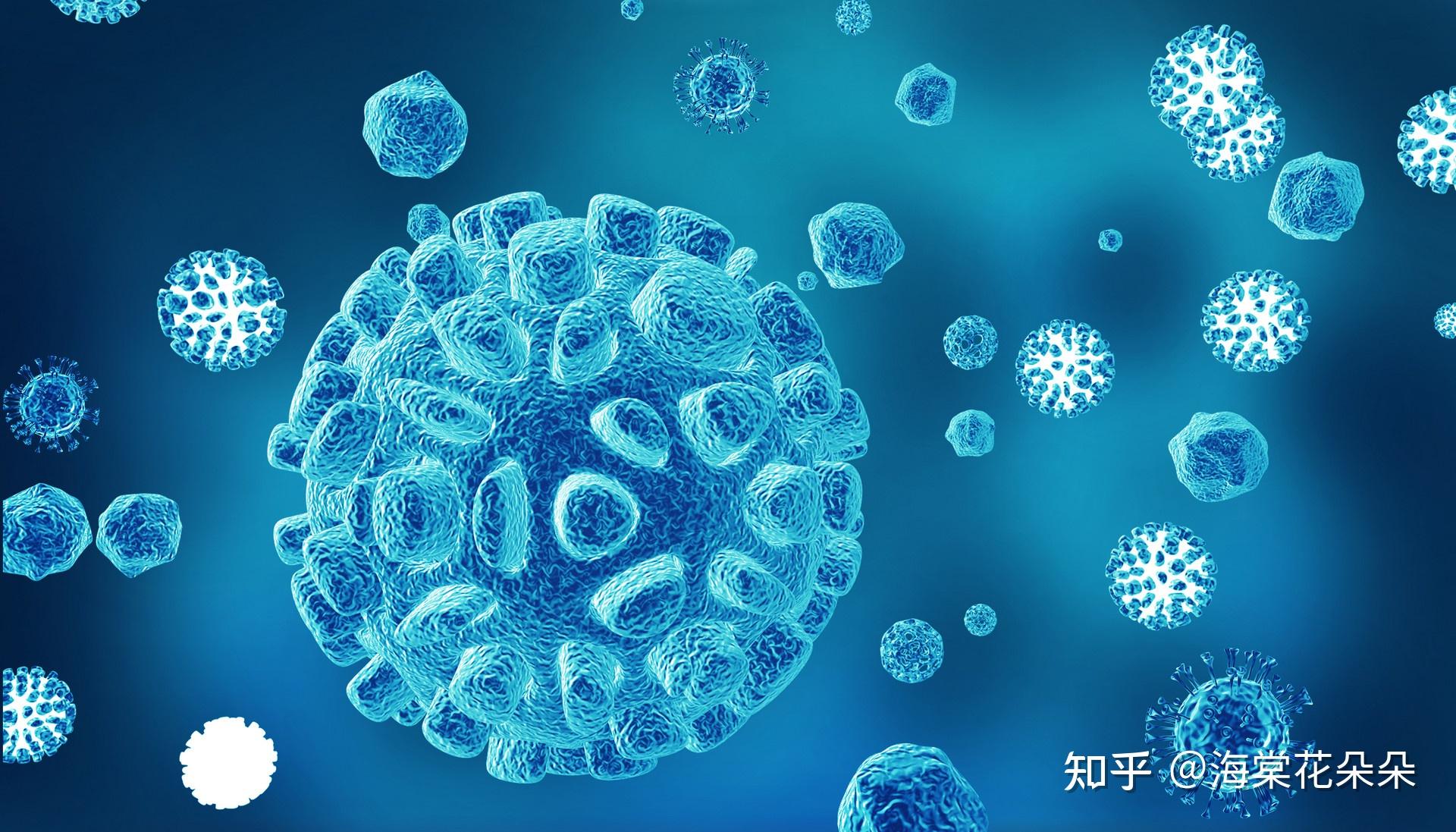 细胞调节图解_调节t细胞_细胞调节的机制是哪三种