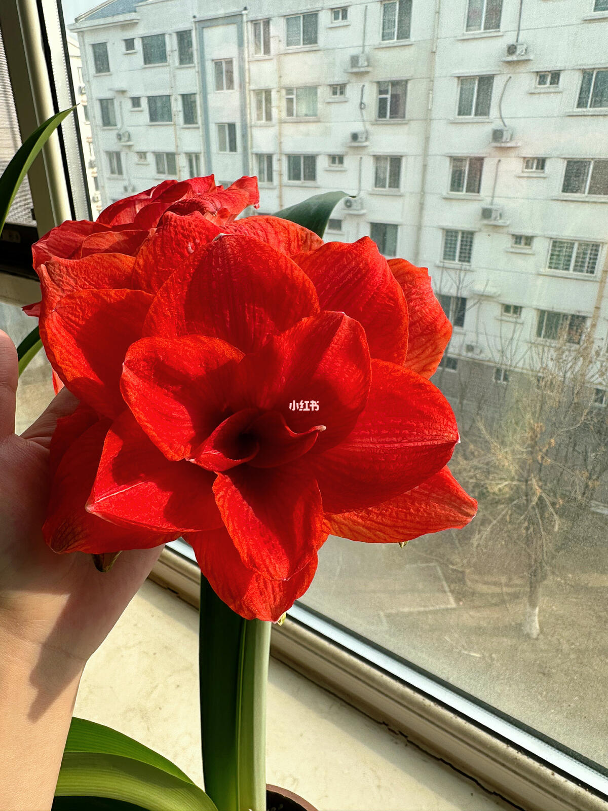 鸡蛋游戏软件_铜蛋手机游戏_鸡蛋手机游戏