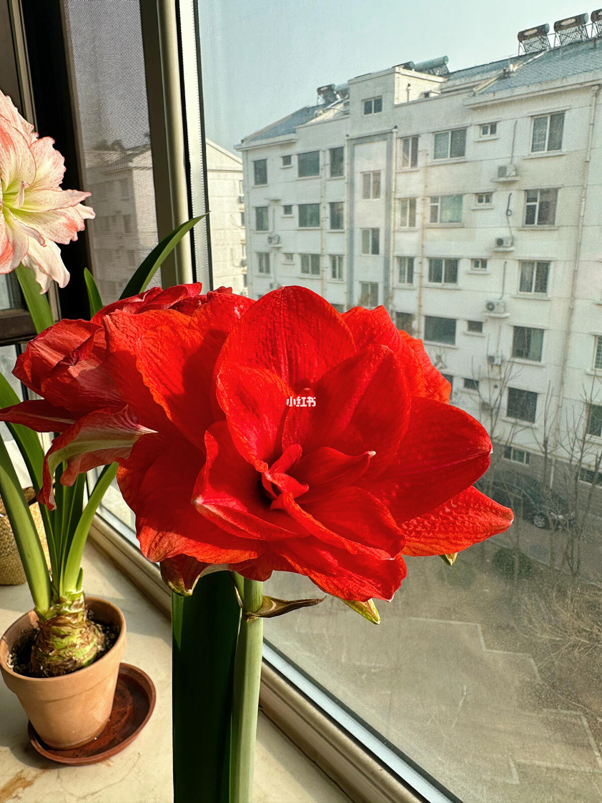 鸡蛋游戏软件_铜蛋手机游戏_鸡蛋手机游戏