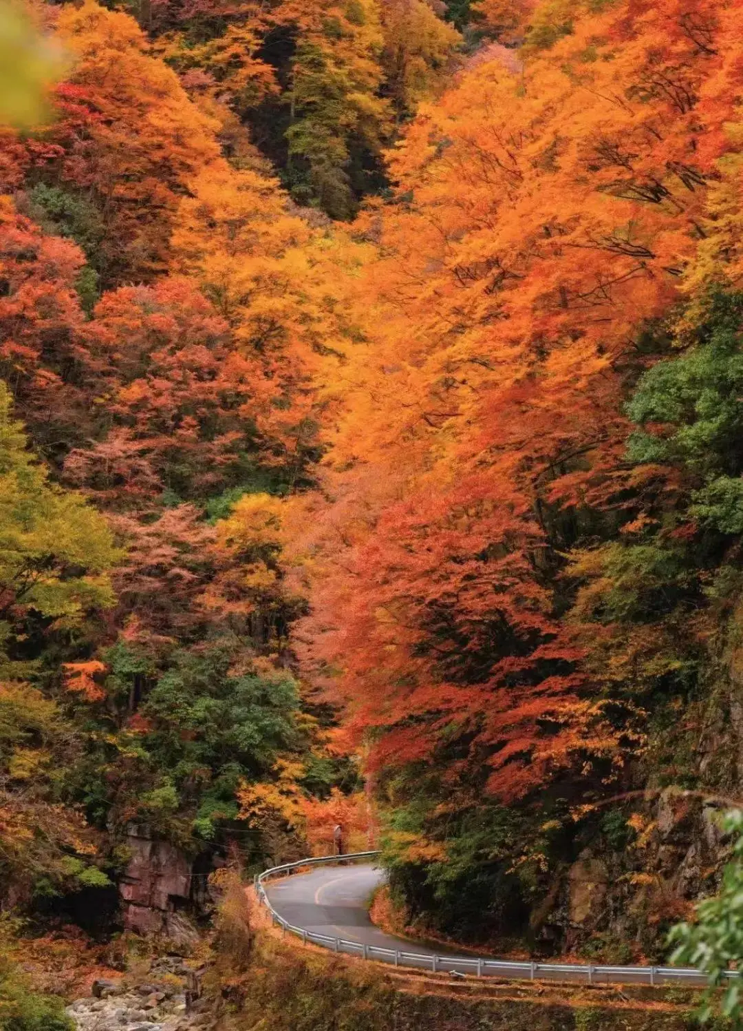 游戏山手机_手机游戏3000款合集_手机版手机游戏