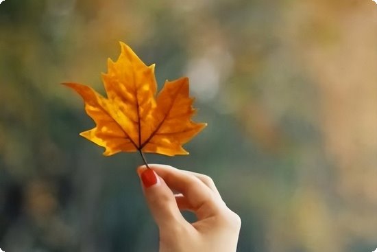 健康码每天只能修改一次吗_健康码一天只能修改一次吗_健康码修改上限明天还能申请吗