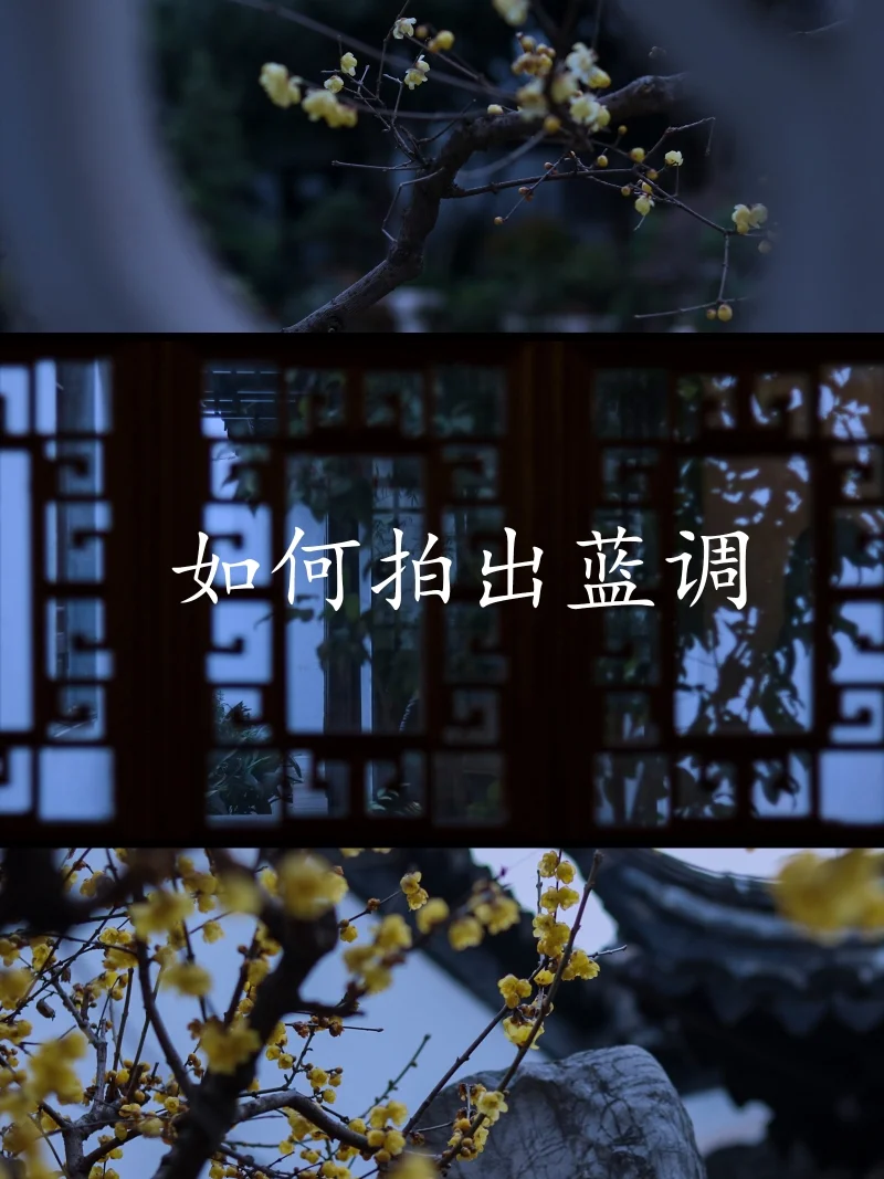 蓝色底照片怎么改成白色底_照片底色怎么改成蓝色_蓝色底版照片换成白色底版
