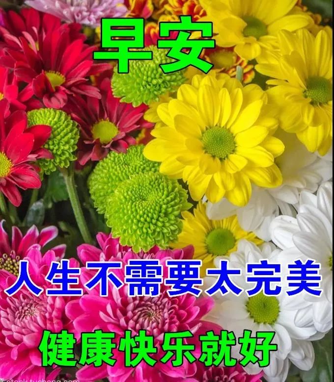 姿势打字手法正确视频_打字手法的正确姿势_姿势打字手法正确图片