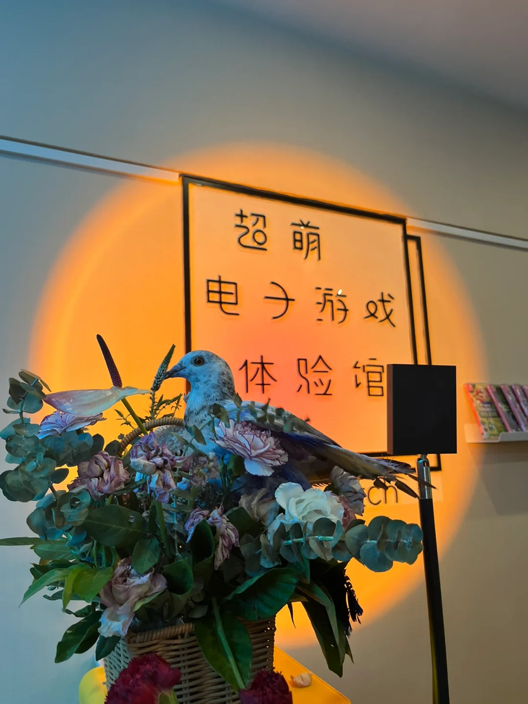 只能周末玩游戏_周末晚上能不能玩手机游戏_周末能打游戏吗
