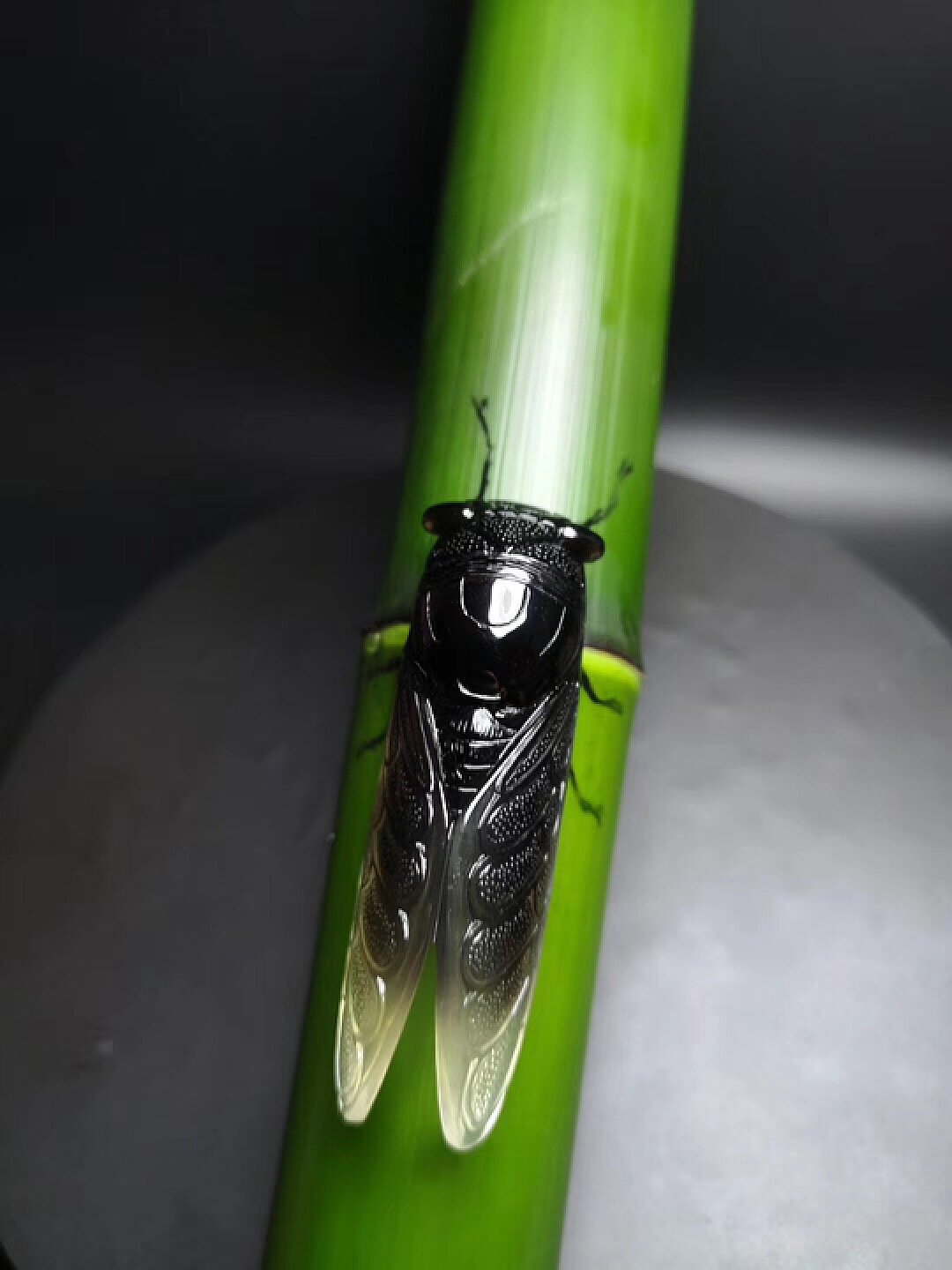 污恋爱养成类手机游戏推荐_污恋爱养成游戏有哪些_污恋爱养成类手机游戏