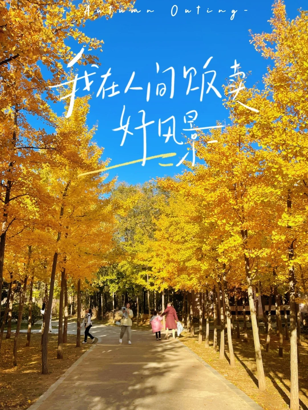 2021拍照游戏手机_资阳拍照手机游戏_拍照游戏在哪