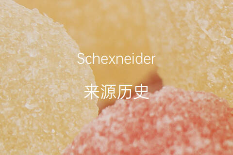 斯诺克手机游戏英文名_英文斯诺克的含义是什么_斯诺克英文