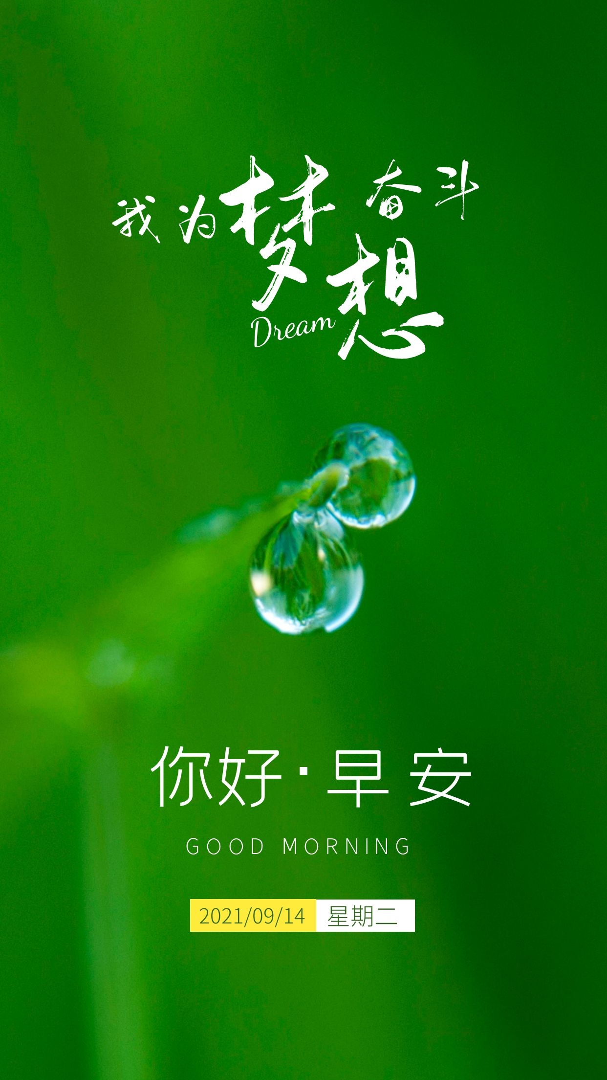 洛奇5_洛奇音乐_洛奇花园