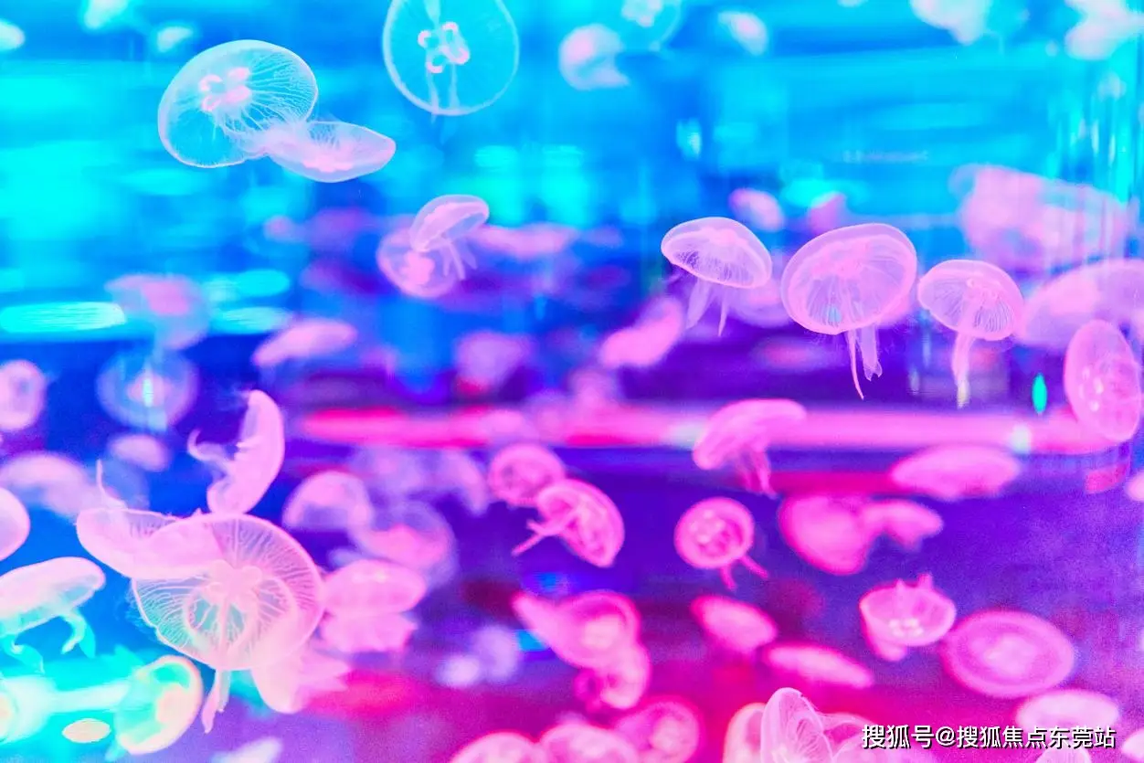水底游戏手机_水底逃脱游戏_水底闯关游戏名字