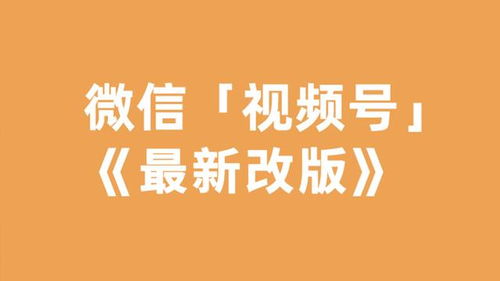月上线多关注,聚焦最新上线产品，揭秘关注焦点