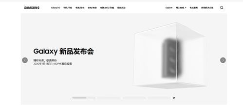 新发布的动态