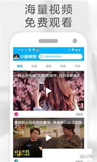 在线播放小视频,在线播放小视频，轻松享受精彩瞬间